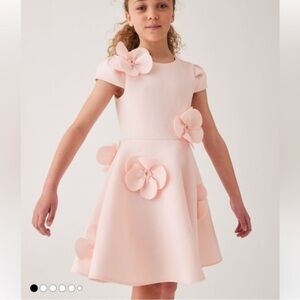Ted Baker Pale Pink Floral Appliqué Party Dress